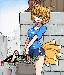  2girls animal_ears bag blonde_hair bottle breasts brick_wall can cat_ears celery cleavage commentary_request dolphin_shorts drink_can formicid fox_tail gap_(touhou) groceries hair_between_eyes holding holding_bag holding_can jaggy_lines korean_commentary large_breasts looking_at_viewer milk_carton multiple_girls multiple_tails no_headwear one_eye_closed outdoors parted_lips plant plastic_bottle potted_plant red_ribbon ribbon shirt shopping_bag short_hair short_sleeves shorts soda_can standing sweat sweatdrop t-shirt tail thighs touhou v_arms wall water_bottle yakumo_ran yakumo_yukari yellow_eyes 