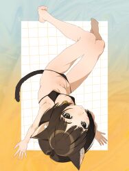  absurdres amagami animal_ears arm_support bare_arms bare_legs bare_shoulders barefoot bell bikini black_bikini breasts brown_hair cat_ears cat_tail commentary_request female from_above full_body groin highres jingle_bell kemonomimi_mode light_blush looking_at_viewer looking_up lowleg lowleg_bikini navel neck_bell short_hair small_breasts solo stomach swimsuit tachibana_miya tail upside-down usurai_rairai 