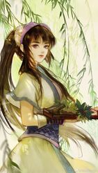  armband artist_request brown_hair chinese_clothes closed_mouth duanmu_rong_(qinshi_mingyue) female from_side hairband herb highres leaf long_hair looking_at_viewer plate ponytail purple_eyes qinshi_mingyue second-party_source short_sleeves sidelocks solo upper_body willow 