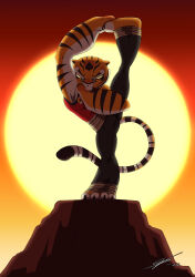  absurd_res anthro black_nose breasts clothed clothed_anthro clothed_female clothing dreamworks feet felid female flexible fur hi_res hindpaw humanoid_hands kung_fu_panda mammal master_tigress multicolored_body multicolored_fur one_leg_up orange_body orange_fur pantherine paws raised_leg solo souleatersaku90 splits spread_legs spreading standing striped_body striped_fur stripes tiger two_tone_body two_tone_fur vertical_splits white_body white_fur 