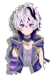  3774. androgynous arm_warmers asymmetrical_sleeves belt_collar collar collarbone commentary cropped_torso expressionless female flower_(vocaloid) flower_(vocaloid4) highres jacket multicolored_hair purple_eyes purple_hair purple_jacket purple_shirt purple_sleeves shadow shirt short_hair simple_background single_arm_warmer sleeveless sleeveless_jacket sleeveless_shirt solo streaked_hair uneven_sleeves upper_body vocaloid white_background 