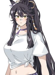  animal_ears arms_at_sides bad_id bad_twitter_id bands black_hair blush breasts choker closed_mouth female gaze_on_me!_outfit_(umamusume) highres horse_ears horse_girl large_breasts long_hair looking_at_viewer midriff narita_brian_(umamusume) navel ponytail rope shimenawa shirt short_sleeves simple_background solo tied_shirt umamusume unneul upper_body white_background white_shirt yellow_eyes 