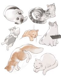  animal_focus bad_id bad_pixiv_id brushing_another&#039;s_hair brushing_hair commentary english_commentary feline highres hugging_own_tail hugging_tail luimiart no_humans original sleeping tail tongue tongue_out white_cat 