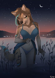  2022 anthro black_nose breasts brown_hair camel_toe canid canine canis clothed clothing clothing_lift detailed_background digital_media_(artwork) dress dress_lift echo_(echoic) eyebrows eyelashes female foufi hair hi_res mammal medium_breasts midriff navel night outside panties partially_submerged sky smile solo standing star starry_sky underwear wolf 