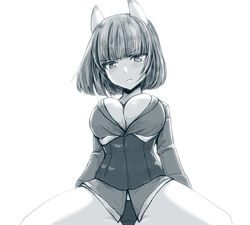  animal_ears blush brave_witches breasts cleavage closed_mouth female greyscale gundula_rall large_breasts liar_lawyer looking_at_viewer military_uniform monochrome no_pants panties short_hair solo spread_legs underwear uniform wolf_ears wolf_girl world_witches_series 