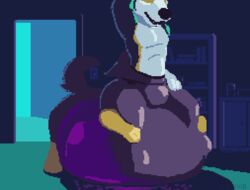  accidentalaesthetics andromorph animated anthro balloon belly big_belly bosco_(zuel) canid canine canis domestic_dog duo feral furry gif humping humping_belly inflatable inside intersex male male/male mammal neck_bulge overweight predator/prey rolling_over struggling_prey swallowing vore wolf zuel 