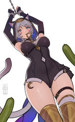  absurdres animal_ear_fluff animal_ears bell black_dress blue_eyes bound bound_wrists breasts cat_ears cat_tail cipher_(honkai:_star_rail) clothing_cutout commentary covered_navel cucumber detached_sleeves dress english_commentary female grey_fur grey_hair highres honkai:_star_rail honkai_(series) jingle_bell key key_in_mouth large_breasts long_hair long_sleeves looking_at_another navel_cutout quilm restrained simple_background solo sweat tail thigh_strap thighhighs white_background 