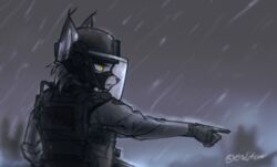  2018 absurd_res ambiguous_gender anthro armor body_armor clothing endjfcar felid feline fur gesture gloves grey_body grey_fur hand_gesture handwear hartman_(hunglee) headgear helmet hi_res lynx mammal pointing police police_uniform raining side_view solo uniform yellow_eyes 