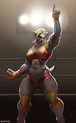  5:8 abs anthro badger blonde_hair bottomwear bra breasts cleavage clothed clothing female fighting_ring fingerless_gloves gloves hair handwear hi_res honey_badger mammal midriff muscular muscular_anthro muscular_female mustelid musteline shintori shorts solo sports_bra spotlight underwear 