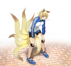  alternate_costume animal_ears bike_shorts blonde_hair blue_eyes commentary_request contemporary female fox_ears fox_tail heavy_breathing jacket kinketsu kitsune knee_pads kyuubi long_sleeves multiple_tails one_eye_closed open_mouth pavement running_bond short_hair solo standing tail touhou track_jacket white_background yakumo_ran 