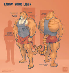  2017 anthro areola ass back_muscles big_bulge big_muscles blue_eyes bottomwear bulge clock clothing comparison english_text felid hi_res huge_muscles human hybrid hyper hyper_muscles larger_male lats_(muscle) liger lion male mammal markings model_sheet muscular muscular_anthro muscular_male nipples pantherine pecs purrcules_(artist) purrcules_(character) shirt shorts silhouette simple_background size_difference smaller_male solo tank_top text thick_thighs tiger topwear url vein watch 