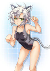  animal_ears cat_ears chestnut_mouth commentary_request competition_swimsuit eiyuu_densetsu female fie_claussell kemonomimi_mode looking_at_viewer one-piece_swimsuit paw_pose roura sen_no_kiseki short_hair solo swimsuit white_hair yellow_eyes 