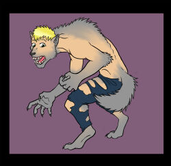  4_toes 5_fingers anthro arm_tuft athletic athletic_anthro athletic_male barefoot black_border black_lips black_nose blonde_hair body_size_growth border bottomwear canid canine claws clothed clothing denim denim_bottomwear denim_clothing destroyed_clothing digital_drawing_(artwork) digital_media_(artwork) digitigrade ears_back elbow_tuft feet finger_claws fingers flat_colors fluffy fluffy_tail fur fur_growth green_eyes grey_body grey_fur growth hair human human_to_anthro hunched_over jay_(wolfboyjeff95) jeans lips looking_at_tail looking_back male mammal mid_transformation muscle_growth mythological_canine mythological_creature mythology narubi open_mouth pants paws pivoted_ears purple_background raised_hackles rounded_back shocked simple_background size_transformation snout snout_growth solo species_transformation standing surprised tail tail_growth teeth tight_clothing toe_claws toes tongue topless torn_bottomwear torn_clothing torn_jeans torn_pants transformation tuft vertebrae were werecanid werecanine werewolf wide_eyed 