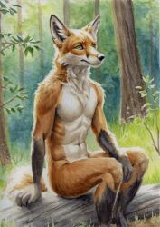  anthro black_body black_fur canid canine creeps forest fox fur green_eyes hand_on_knee hand_on_leg legs_together looking_offscreen male mammal mouth_closed nature nude orange_body orange_fur plant sitting sitting_on_log solo thinking traditional_media_(artwork) tree watercolor_(artwork) 