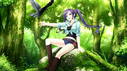  &#039;&amp;&#039;_-sora_no_mukou_de_sakimasu_you_ni- akatsuki-works animal bird boots female female forest game_cg highres jewelry long_hair nature necklace outdoors ponytail renjou_yae saeki_hokuto tree 