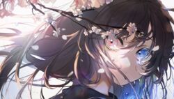  blue_eyes branch brown_hair colored_tears crying crying_with_eyes_open eyelashes female floating_hair flower hassan_(sink916) heterochromia long_hair looking_at_viewer looking_back motion_blur original parted_lips petals portrait red_eyes solo teardrop tears 