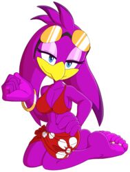  5_toes avian barefoot beach bird clothing digit_ring feet female foot_ninja15 hi_res hirundinid jewelry oscine passerine ring seaside sega soles solo sonic_riders sonic_the_hedgehog_(series) swallow_(bird) toe_ring toes wave_the_swallow 