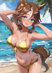  ahoge animal_ears armpits ayamo_kaoru beach bikini blue_eyes breasts brown_hair cleavage cloud collarbone commission cowboy_shot dog_hair_ornament female gold_bikini hair_between_eyes hair_ornament halterneck hands_up highres horse_ears horse_girl horse_tail long_hair medium_breasts mejiro_palmer_(umamusume) multicolored_hair navel ocean open_mouth outdoors palm_tree pompompurin sanrio shore side-tie_bikini_bottom skeb_commission sky solo streaked_hair string_bikini swimsuit tail tan tree umamusume white_hair 