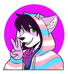  accessory alpha_channel anthro bandana bisexual_pride_colors clothing female fur gesture green_eyes hamgie hand_gesture hi_res hoodie horn jacket kerchief lgbt_pride mammal multicolored_bandanna multicolored_clothing multicolored_hoodie multicolored_jacket multicolored_kerchief multicolored_neckerchief multicolored_neckwear multicolored_scarf multicolored_topwear neckerchief neckwear pattern_clothing pride_color_accessory pride_color_bandanna pride_color_clothing pride_color_hoodie pride_color_jacket pride_color_kerchief pride_color_neckerchief pride_color_neckwear pride_color_topwear pride_colors procyonid raccoon scarf shirt simple_background solo striped_clothing stripes topwear trans_(lore) trans_woman_(lore) transgender_pride_colors unknown_artist v_sign white_body white_fur 