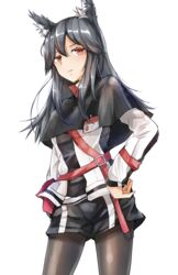  animal_ear_fluff animal_ears arknights black_capelet black_hair black_shorts brown_eyes capelet female hair_between_eyes highres jacket kazu_(really_in_hot_water_now) long_hair long_sleeves looking_at_viewer name_tag pantyhose shorts simple_background solo texas_(arknights) white_background white_jacket wolf_ears 