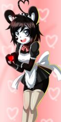  1:2 2016 5_fingers absolute_territory anthro bear black_hair blue_eyes blush bocodamondo breasts clothed clothing eyebrows eyelashes female fingers giant_panda hair heart_eyes heart_symbol hi_res ken_ashcorp kenny_(kenashcorp) legwear looking_at_viewer maid_uniform mammal open_mouth ribbons short_hair simple_background small_breasts smile solo standing stockings teeth thigh_highs tongue uniform 