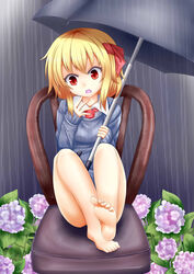  absurdres alternate_costume banned_artist bare_legs barefoot blonde_hair chair flower hair_ribbon highres hydrangea oerba_yun_fang oohirakeisuke rain red_eyes ribbon rumia short_hair sitting sweater touhou umbrella 