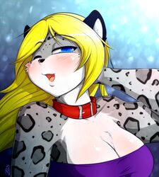  2015 anthro black_body black_fur black_nose blonde_hair blue_eyes blush breasts cleavage clothed clothing collar felid female fur grey_body grey_fur hair hi_res long_hair looking_at_viewer mammal mrsakai one_eye_closed open_mouth pantherine shirt smile snow_leopard solo spots tongue topwear white_body white_fur 