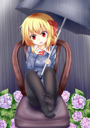  absurdres alternate_costume banned_artist black_legwear blonde_hair chair flower hair_ribbon highres hydrangea oerba_yun_fang oohirakeisuke pantyhose rain red_eyes ribbon rumia short_hair sitting sweater thighband_pantyhose touhou umbrella 