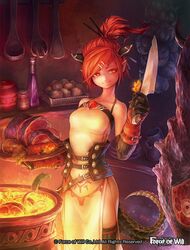  bare_shoulders carrot commentary_request copyright_name dragon_tail female food force_of_will gloves hair_ornament hair_stick hairclip knife leaf meat official_art ponytail red_eyes red_hair sigman solo sylvia_gill_palarilias_(force_of_will) tail thighhighs 