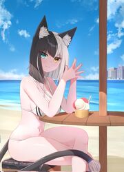  :3 animal_ears aurahman beach bikini black_tail blue_eyes breasts cat_ears cat_girl cat_tail cleavage closed_mouth commentary criss-cross_halter crossed_legs english_commentary female halterneck heterochromia highres ice_cream_cup looking_at_viewer medium_breasts medium_hair midriff multicolored_hair navel original outdoors own_hands_together sideboob sitting solo split-color_hair string_bikini swimsuit tail two-tone_hair upper_body white_bikini white_hair yellow_eyes 