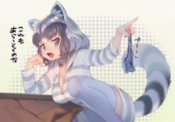  animal_ear_fluff animal_ears bangs black_hair blue_legwear blue_nails blue_panties blush breasts cleavage commentary_request common_raccoon_(kemono_friends) eyebrows_visible_through_hair female holding holding_panties hood hood_down hoodie kemono_friends kotatsu large_breasts long_sleeves mifu_(b24vc1) multicolored_hair oerba_yun_fang open_mouth panties panties_removed raccoon_ears raccoon_tail short_hair striped_hoodie striped_tail table tail thighhighs translation_request underwear zipper zipper_pull_tab 