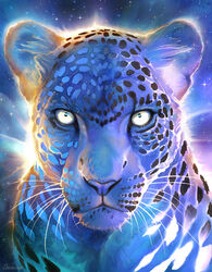  balaa better_version_at_source felid leopard mammal pantherine 