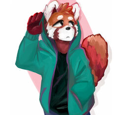  4_fingers ailurid anthro brown_body brown_fur clothed clothing fawnsdraws fingers front_view frown fully_clothed fur half-length_portrait hand_in_pocket hoodie jacket looking_aside male mammal pockets portrait raised_tail red_panda shirt solo tail topwear white_body white_fur 