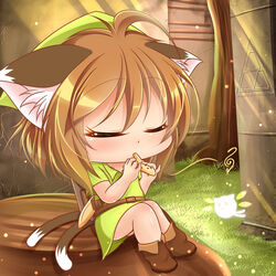  animal_ears chen closed_eyes deformed fairy female grass hat instrument kurumai lolicon multiple_tails nintendo outdoors shield shiny shiny_hair shiny_skin short_hair sitting solo the_legend_of_zelda touhou triforce 