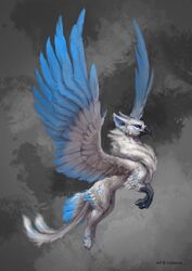  2020 2_tails abstract_background absurd_res ambiguous_gender avian beak black_beak black_body black_skin blue_body blue_eyes blue_feathers etis feathers feral flying fur grey_background gryphon hi_res multi_tail multicolored_body multicolored_feathers mythological_avian mythological_creature mythology saterina simple_background solo spread_wings tail two_tone_body two_tone_feathers white_body white_feathers white_fur wings 