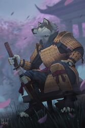  2019 anthro armor black_nose blue_eyes canid canine canis claws clothed clothing digital_media_(artwork) full_armor fur grey_body grey_fur hi_res hitmore holding_object humanoid_hands katana lamellar_armor male mammal melee_weapon samurai sitting solo splint_armor sword warrior weapon wolf 