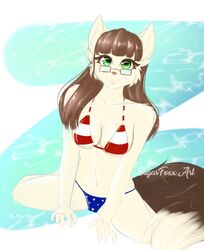  american_flag_bikini anthro bikini breasts brown_hair carrot_kingdom clothing eyewear felid female flag flag_bikini flag_clothing flag_print flag_swimwear glasses hair mammal maomaogames print_bikini print_clothing print_swimwear solo sugarfoxxart swimwear 