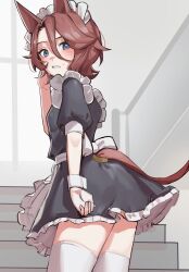  alternate_costume animal_ears apron black_dress blue_eyes blush brown_hair commentary dress female frilled_apron frills hair_between_eyes highres horse_ears horse_girl horse_tail looking_at_viewer looking_back maid maid_apron maid_headdress narita_taishin_(umamusume) open_mouth puffy_short_sleeves puffy_sleeves revision short_hair short_sleeves solo solokitsune stairs sweatdrop tail thighhighs umamusume waist_apron white_apron white_headdress white_thighhighs white_wrist_cuffs wrist_cuffs 