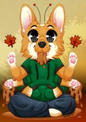  anthro arthropod autumn black_nose bodily_fluids canid canine canis caterpillar chibi clothed clothing digital_media_(artwork) domestic_dog drooling eating food green_clothing green_hoodie green_topwear herding_dog hoodie hybrid insects larva leaf male mammal maple_(ninu_hasi) nomming pastoral_dog saliva simple_background smile solo syrup thebadnewsbear topwear welsh_corgi 