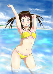  arm_up bikini brown_hair commentary_request female harudori_tsugumi long_hair purple_eyes soul_eater_not! swimsuit tondabayashi twintails water 