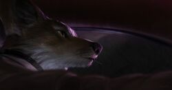  2017 anthro black_nose canid canine close-up clothed clothing depth_of_field drive_(movie) fox light lighting lofi male mammal purple_lighting snout solo toothpick whiskers yellow_eyes 