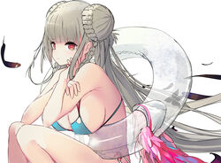  absurdres azur_lane bikini blue_bikini blunt_bangs braid braided_bun breasts cleavage commentary_request double_bun feathers female formidable_(azur_lane) formidable_(the_lady_of_the_beach)_(azur_lane) grey_hair hair_bun hand_on_own_cheek hand_on_own_face highres hinaname innertube large_breasts long_hair looking_at_viewer official_alternate_costume partial_commentary red_eyes see-through sidelocks simple_background sitting solo swim_ring swimsuit very_long_hair white_background 