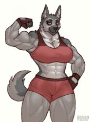  2022 abs anthro athletic athletic_anthro athletic_female big_breasts black_eyebrows black_nose bottomwear bra breasts canid canine canis cleavage clothed clothing digital_drawing_(artwork) digital_media_(artwork) domestic_dog eyebrows female fingerless_gloves fingers fist flexing flexing_bicep fully_clothed fur fur_tuft german_shepherd glistening glistening_eyes gloves grey_body grey_fur hand_on_hip handwear herding_dog hi_res humanoid_hands looking_aside mammal multicolored_body multicolored_fur muscular muscular_anthro muscular_arms muscular_female muscular_thighs navel pastoral_dog pecs pecs_with_breasts portrait prick_ears rawslaw5 red_bottomwear red_bra red_clothing red_eyes red_gloves red_handwear red_shorts red_sports_bra red_underwear shaded shorts signature simple_background smile soft_shading solo sports_bra standing thick_neck thick_thighs three-quarter_portrait tuft two_tone_body two_tone_fur underwear white_background white_body white_fur wide_hips 