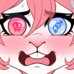  1:1 anthro blue_eyes blush bodily_fluids buckteeth close-up digital_drawing_(artwork) digital_media_(artwork) eyebrows eyelashes female female/female_symbol female_symbol flat_colors gender_symbol hair heterochromia lagomorph leporid male/female_symbol male_symbol mammal minettefraise orientation_play pink_blush pink_eyes pink_hair pink_nose pink_tongue pupils rabbit sexuality_symbol solo stated_abrosexuality stated_sexuality sweat sweaty_face symbol symbol-shaped_pupils teeth tongue unusual_pupils zerah_dowt 