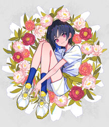  black_hair blue_footwear blue_socks collared_shirt commentary female flower flower_wreath full_body grey_background grin hand_on_own_knee head_tilt highres kaneni knees_together_feet_apart knees_up long_bangs looking_at_viewer medium_hair original pink_flower red_eyes red_flower shirt shoes short_sleeves shorts sidelocks simple_background smile sneakers socks solo white_flower white_shirt white_shorts 