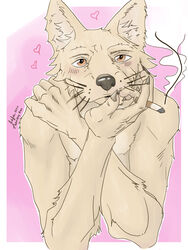  3:4 anthro arms_bent bite blush brown_body canid canine canis cigarette crossed_arms digital_media_(artwork) domestic_dog finger_bite finger_fetish finger_in_mouth finger_play fingers fluffy fur gaze glistening glistening_eyes hair hi_res holding_cigarette holding_object hug index_key_nine looking_at_viewer male mammal nude pose simple_background smoking solo whiskers yellow_body yellow_fur 