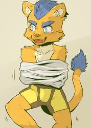  absurd_res anthro blue_eyes blue_hair blush clothed clothing clothing_lift felid fur gabobon05 hair hi_res inner_ear_fluff lion male mammal open_mouth pantherine shirt shirt_lift smile solo tail topwear tuft underwear yellow_body yellow_fur young young_male 