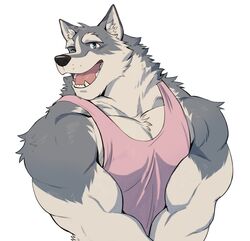  2019 adios anthro biceps canid canine canis clothed clothing digital_media_(artwork) fur hi_res male mammal muscular muscular_anthro muscular_male pecs shirt simple_background solo tank_top topwear white_background 