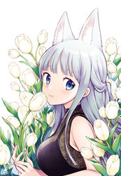  animal_ears blue_eyes blush breasts commentary female flower fox_ears from_side half_updo heart holding holding_flower long_hair looking_at_viewer looking_to_the_side medium_breasts miyano_ururu original signature silver_hair simple_background sleeveless smile solo tulip upper_body white_background white_flower 