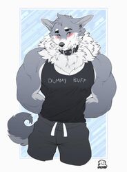  2019 anthro apollo_(cherrikissu) arms_behind athletic_wear biceps black_nose blue_eyes blush boosterpang bottomwear broad_shoulders canid canine canis clothed clothing collar curled_tail digital_media_(artwork) ear_piercing english_text eyebrows fluffy fur grey_body grey_fur hands_behind_back looking_at_viewer male mammal mane multicolored_body multicolored_fur muscular muscular_anthro muscular_arms muscular_male muscular_thighs pants pecs piercing shirt simple_background smile solo sweatpants tail tank_top text topwear whiskers white_body white_fur wolf 